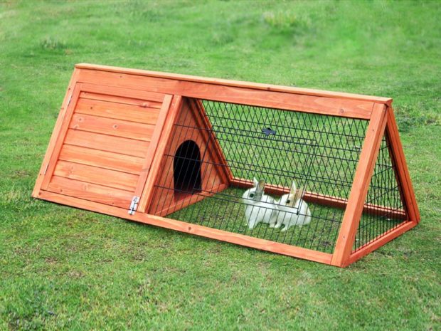 Best Rabbit Hutch Indoor and Outdoor Reviews